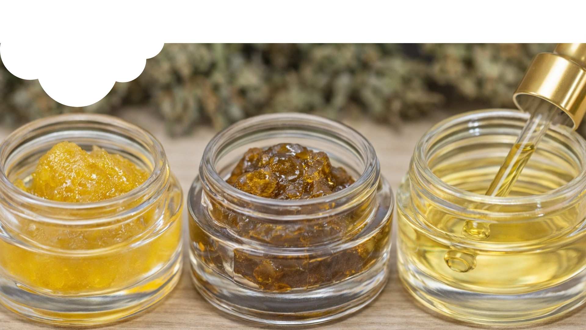 Rosin vs resin vs distillate: what’s the difference and who each is for