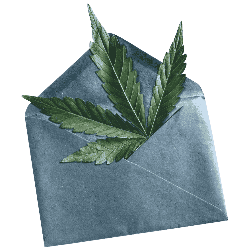Envelope with a cannabis leaf inside representing cannabis delivery in New Jersey