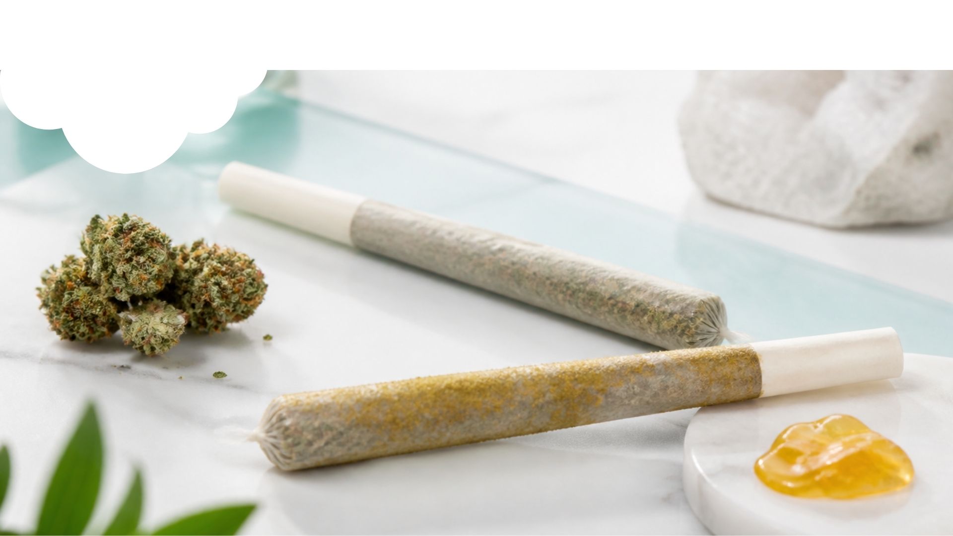 What Is an Infused Pre-Roll? Infused vs. Regular Pre-Rolls